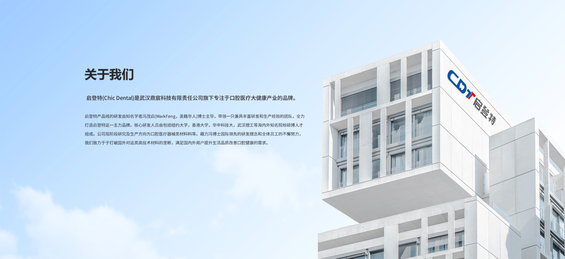 描述性文字